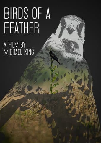 Watch Birds of a Feather free online