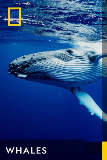 Watch Whales free online