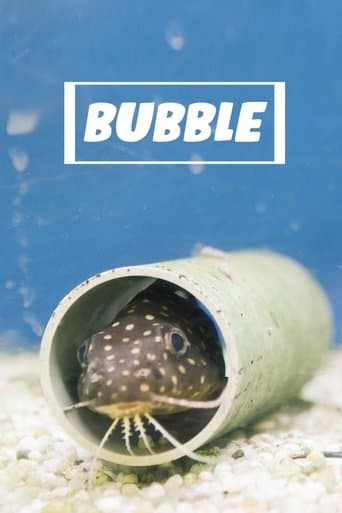 Watch Bubble free online