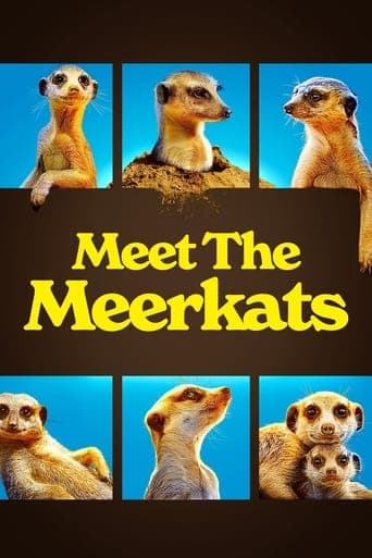 Watch Meet The Meerkats free online