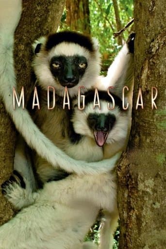 Watch Madagascar free online