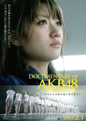 Watch Documentary of AKB48 No Flower Without Rain free online
