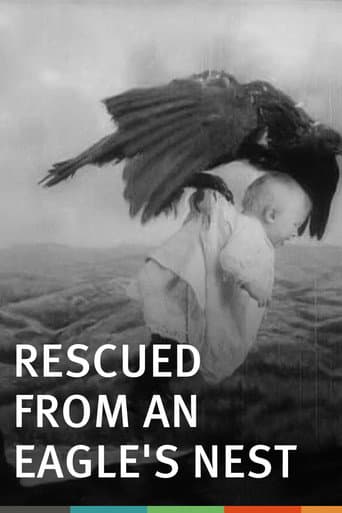 Watch Rescued from an Eagle's Nest free online