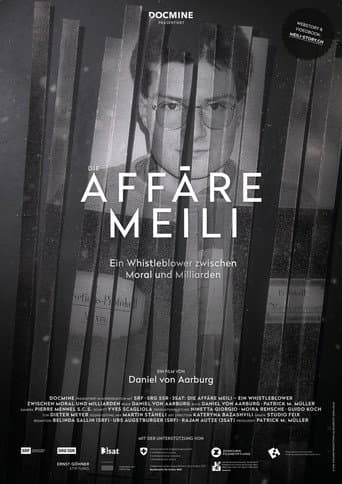 Watch Die Affäre Meili free online