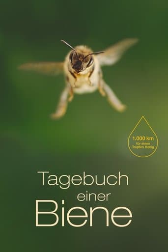 Watch Diary of a Bee free online