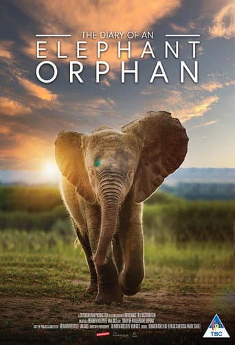 Watch Diary of an Elephant Orphan free online