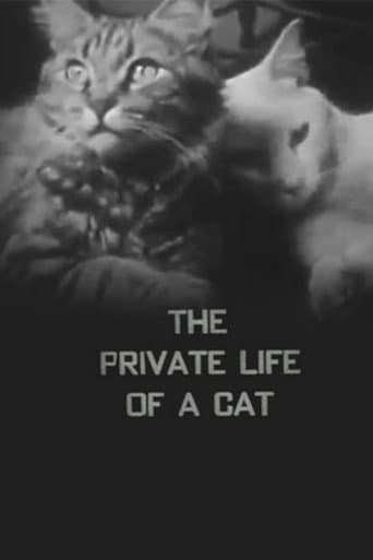 Watch The Private Life of a Cat free online