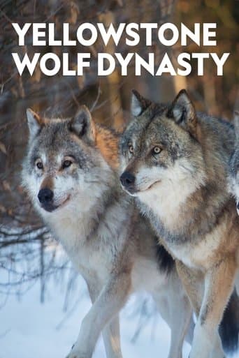Watch Yellowstone Wolf Dynasty free online