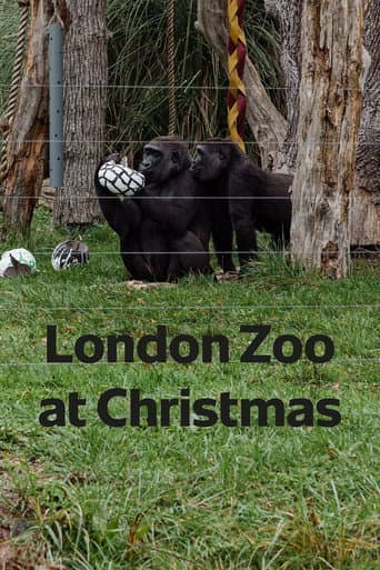 Watch London Zoo at Christmas free online