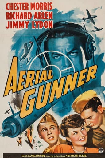 Watch Aerial Gunner free online