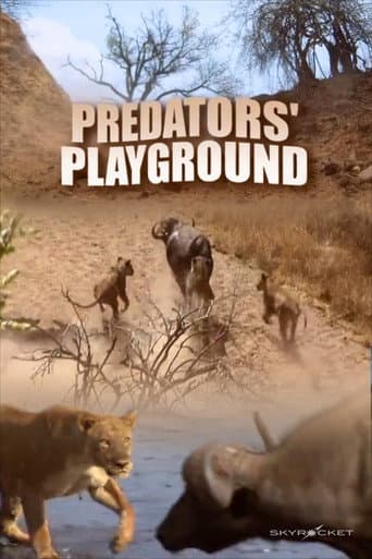 Watch Predator's Playground free online