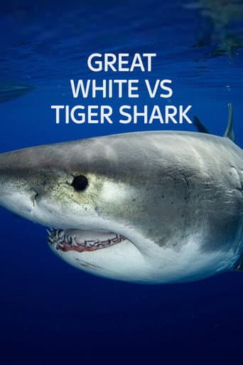 Watch Great White vs Tiger Shark free online