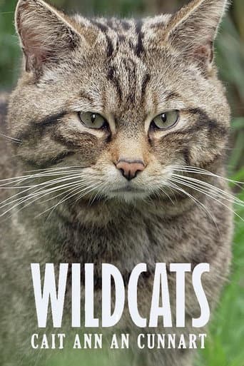 Watch Wildcats: Cait ann an Cunnart free online