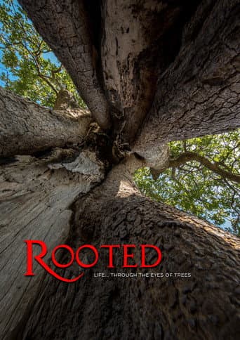 Watch Rooted free online