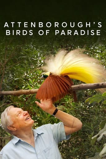 Watch Birds of Paradise free online