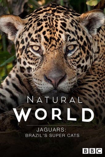 Watch Jaguars: Brazil's Super Cats free online