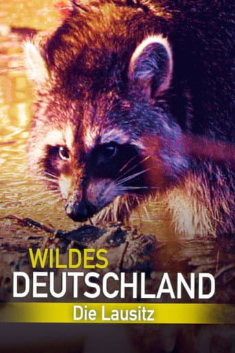 Watch Wild Germany: Exploring Lusatia free online