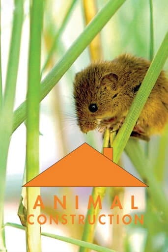 Watch Animal Construction free online