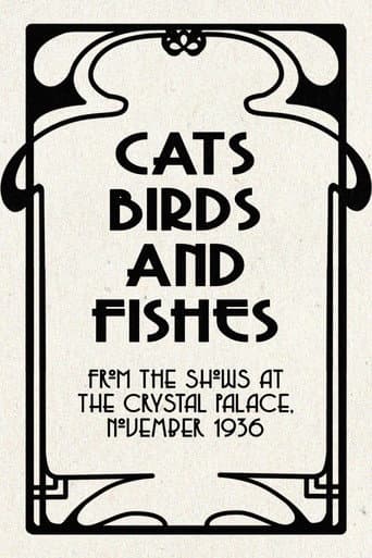 Watch Cats, Birds and Fishes free online