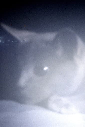 Watch Somos animales free online
