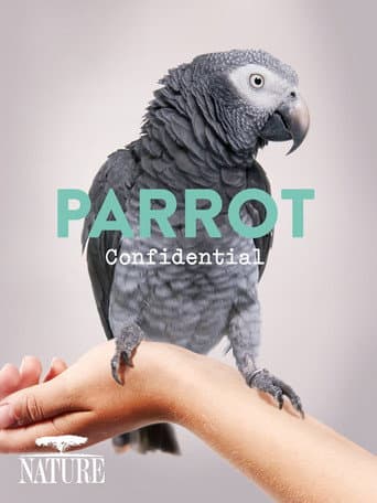 Watch Parrot Confidential free online