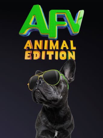 Watch America's Funniest Home Videos: Animal Edition free online