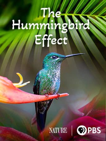 Watch The Hummingbird Effect free online