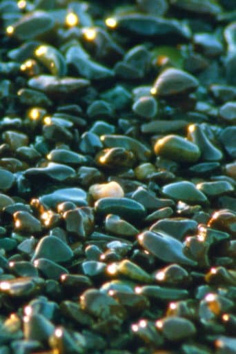 Watch Jasper Beach and The Salt Marsh free online