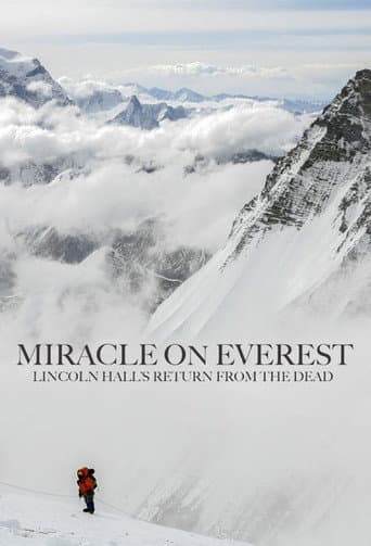 Watch Miracle on Everest free online