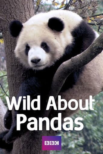Watch Wild About Pandas free online