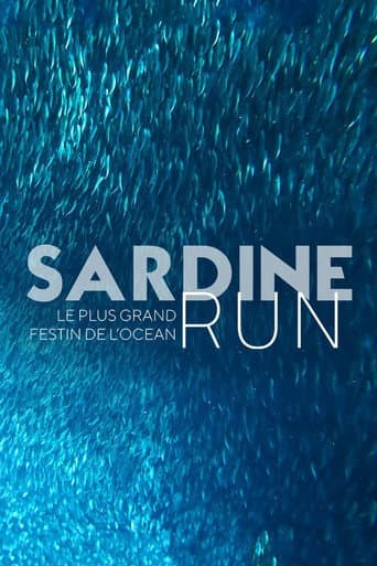 Watch Sardine Run, le plus grand festin de l'océan free online