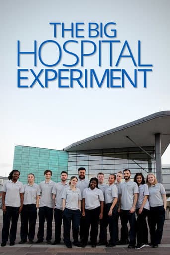 Watch The Big Hospital Experiment free online