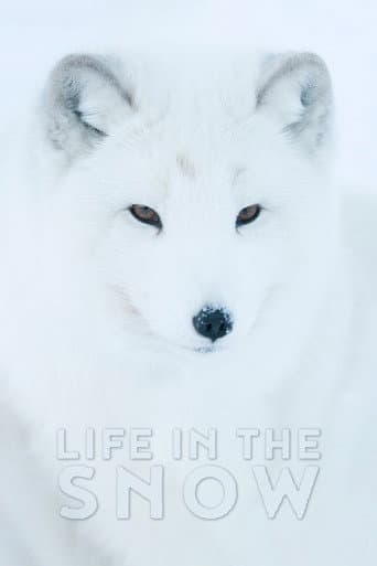 Watch Life In The Snow free online