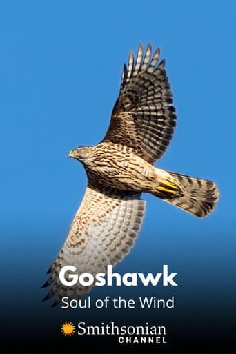 Watch Goshawk - Soul of the Wind free online