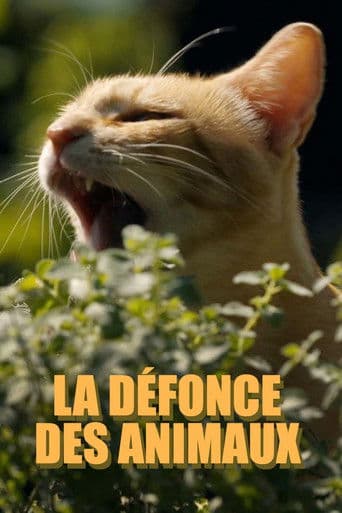Watch La défonce des animaux free online