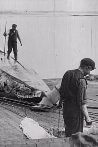 Watch Whaling Afloat and Ashore free online
