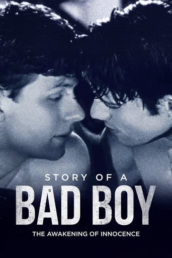 Watch Story of a Bad Boy free online