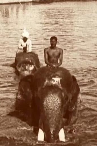 Watch Edward Prince of Wales' Tour of India: Indore, Bhopal, Gwalior and Delhi free online