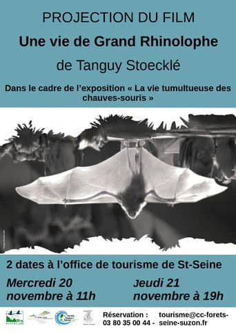 Watch The Life of a Greater Horseshoe Bat free online