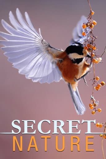 Watch Secret Nature free online