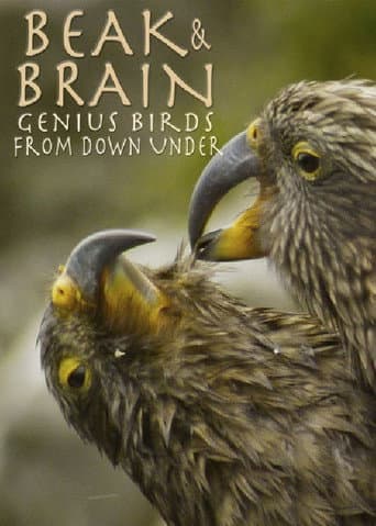 Watch Beak & Brain - Genius Birds from Down Under free online