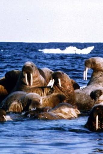 Watch Edge of Ice free online