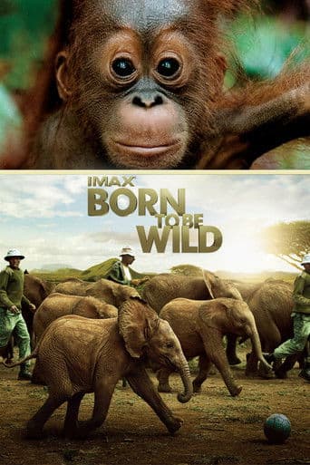 Watch Born to Be Wild free online