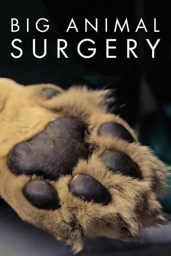 Watch Big Animal Surgery free online