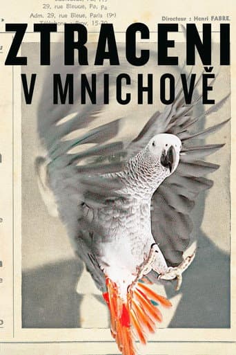 Watch Lost in Munich free online