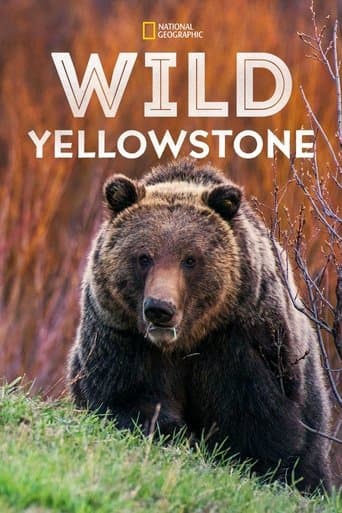Watch Wild Yellowstone free online