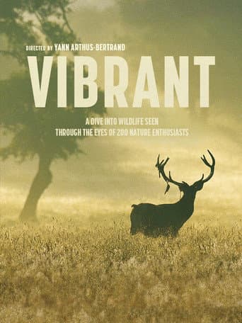 Watch Vibrant free online
