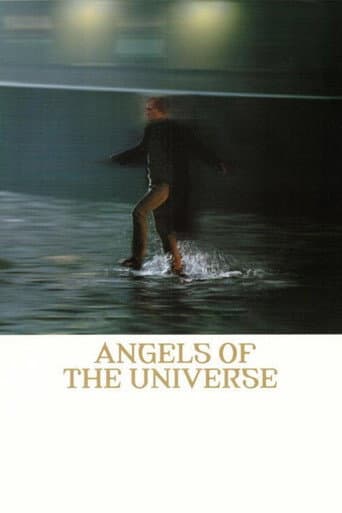 Watch Angels of the Universe free online