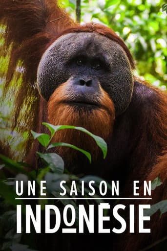 Watch Une saison en Indonésie free online