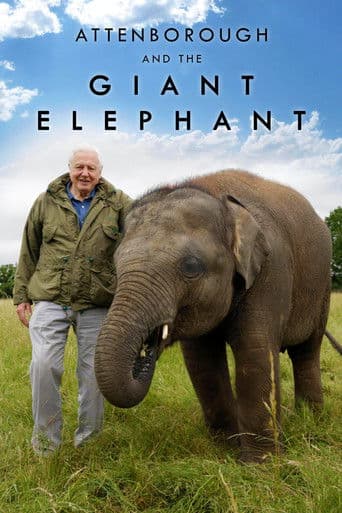 Watch Attenborough and the Giant Elephant free online